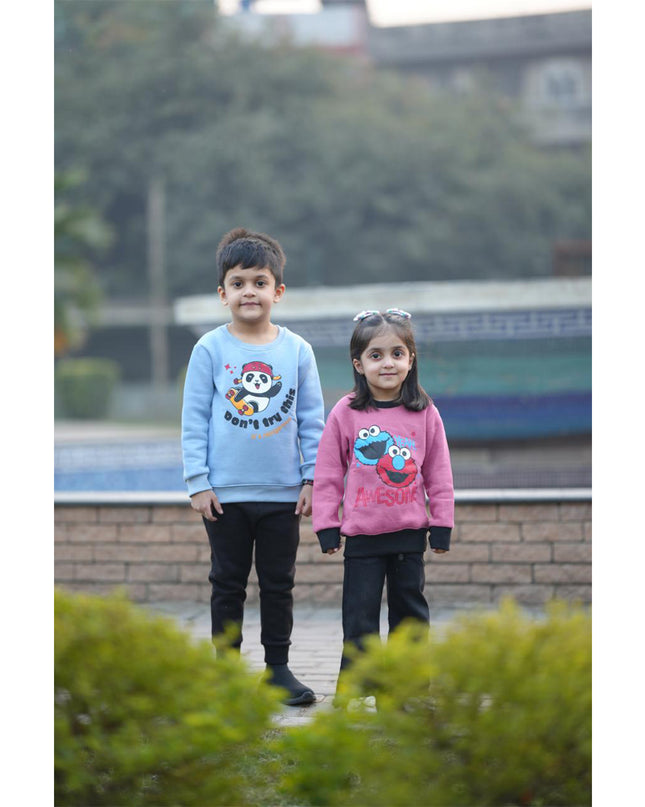 Panda fun(Don't try this)sky blue sweatshirt